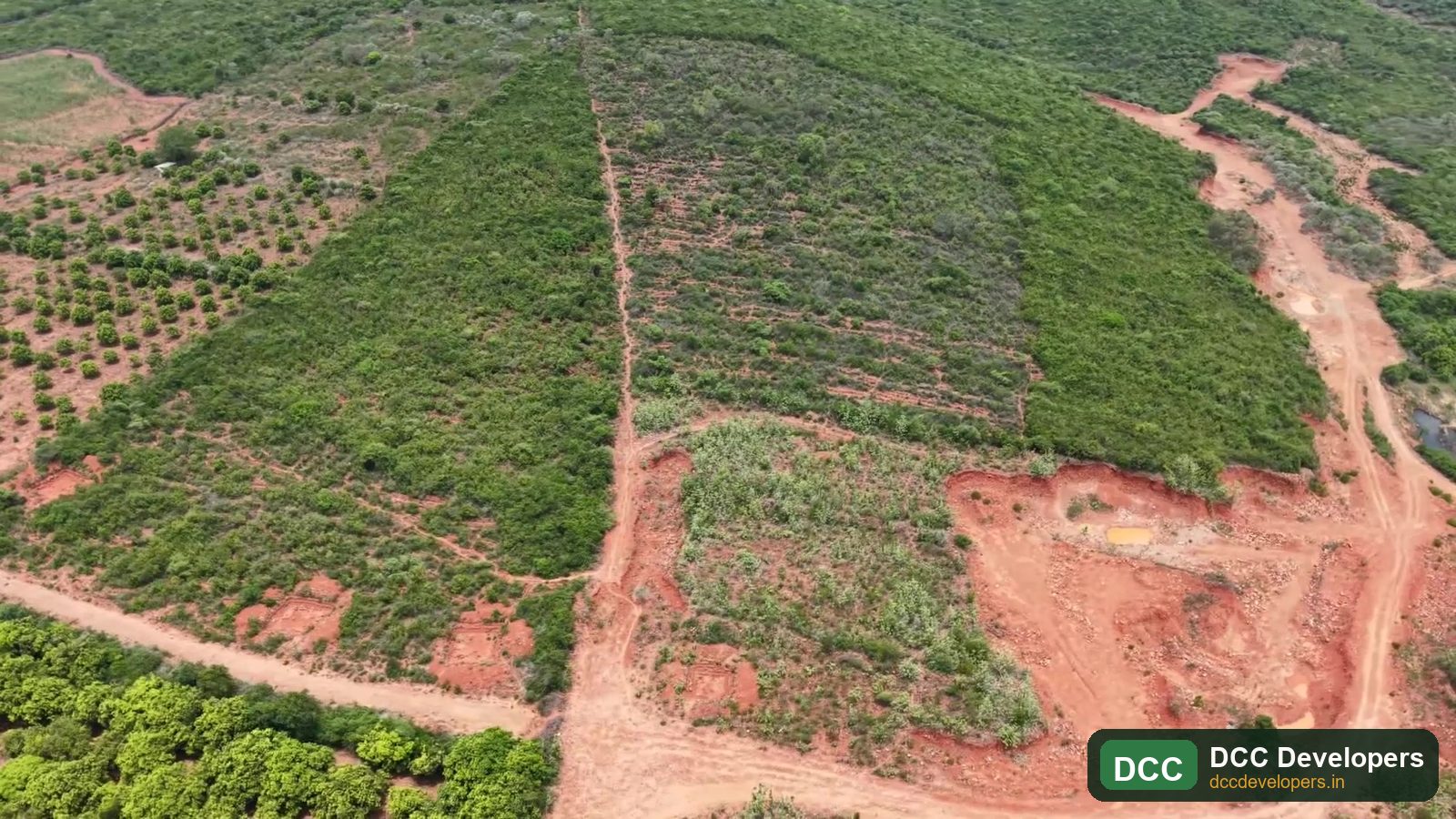 Aerial view of DCC Emerald Estate orchards