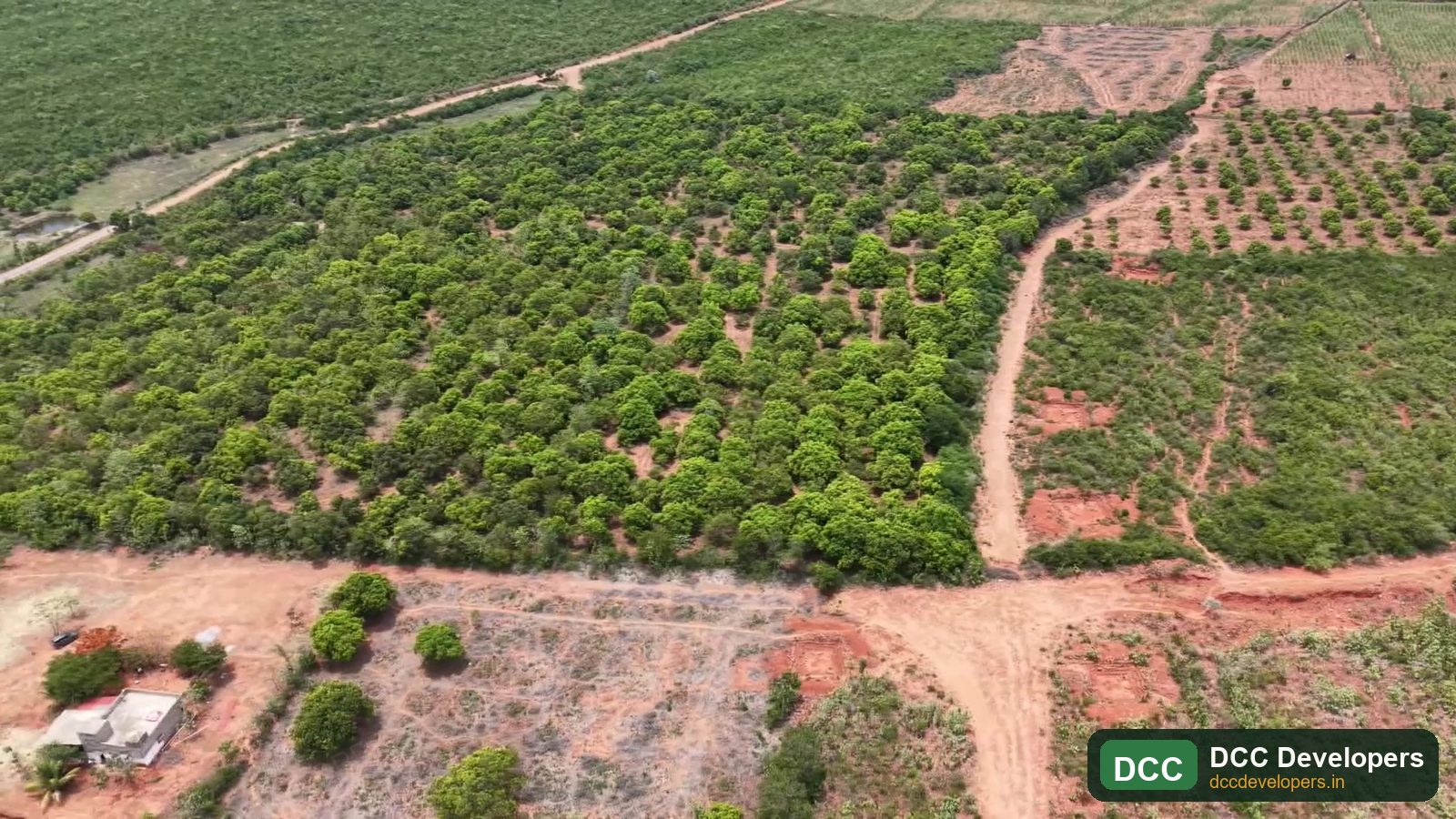 DCC Emerald Estate — Andhra Pradesh