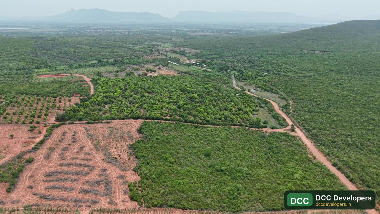 Panoramic aerial of the green estate