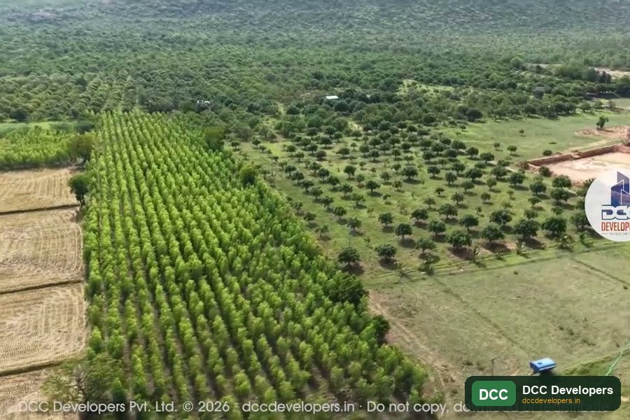 DCC Golden Orchard — Beerakuppam, Andhra Pradesh