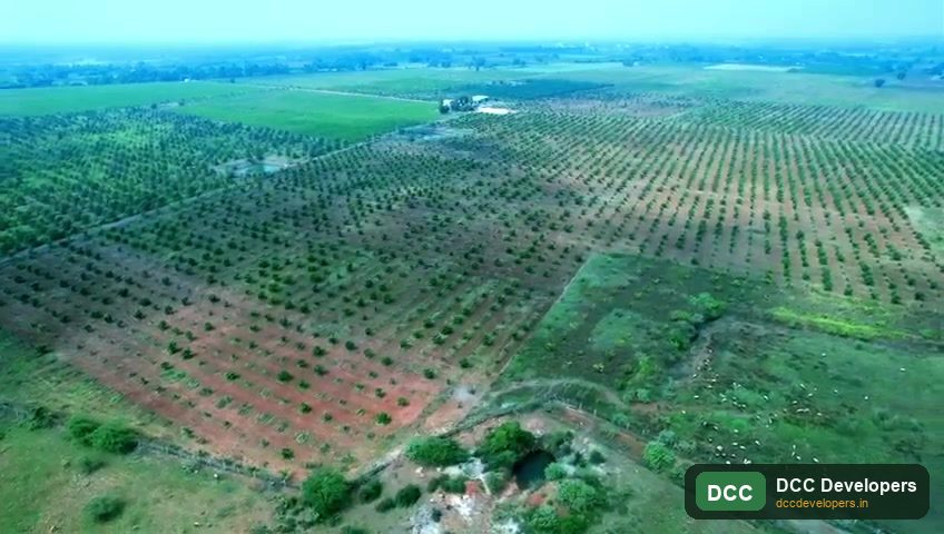 DCC Green Valley Estate — Nellore — Nellore District, Andhra Pradesh
