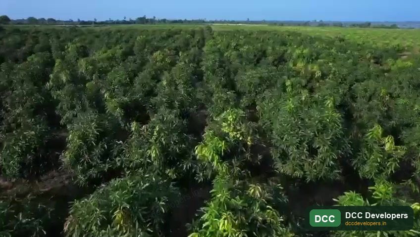 Managed farmland canopy at DCC Green Valley Estate