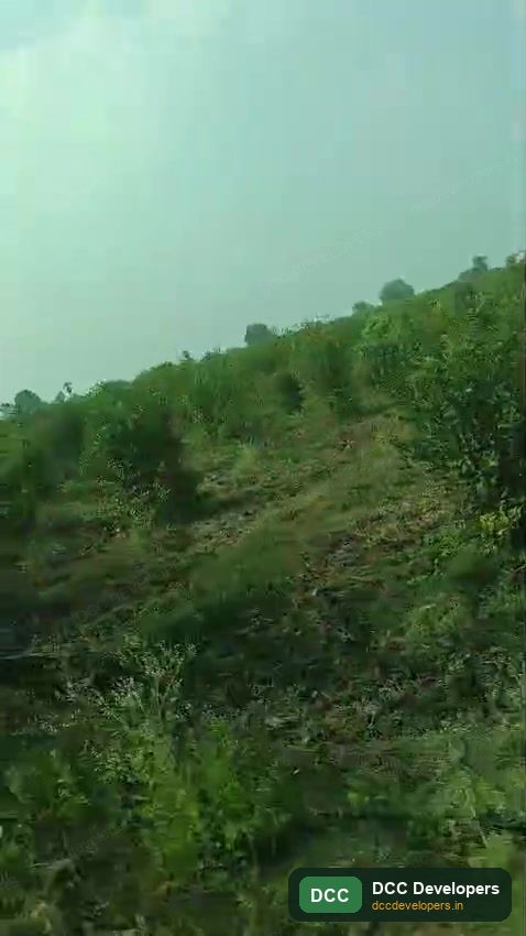 Fruit orchards at the Nellore estate