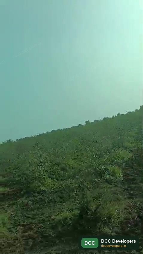 Coconut and fruit trees at the Nellore estate